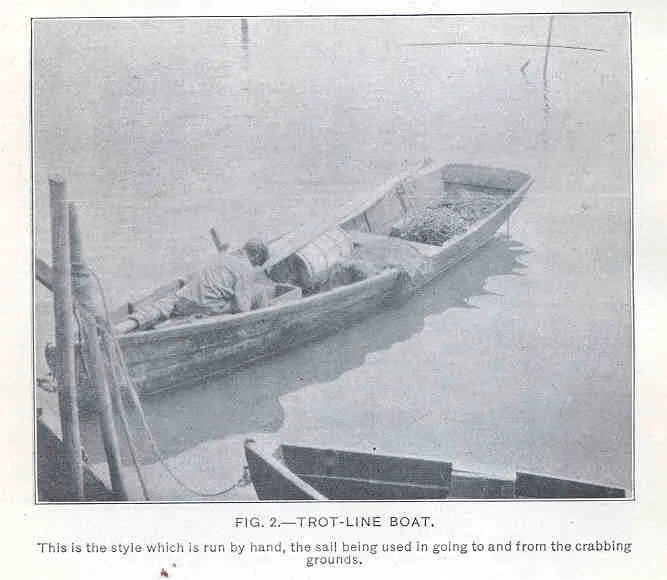 Chesapeake Bay Crab Boat